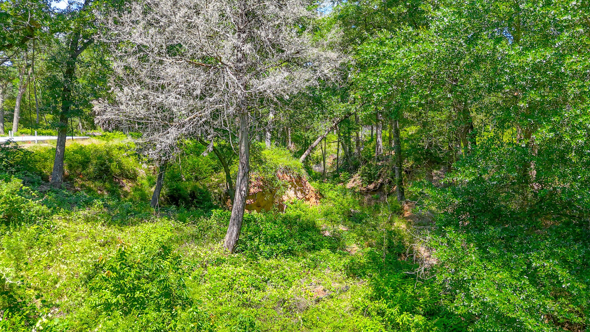 Lot 141 Shenandoah Drive Streetman TX 75859
