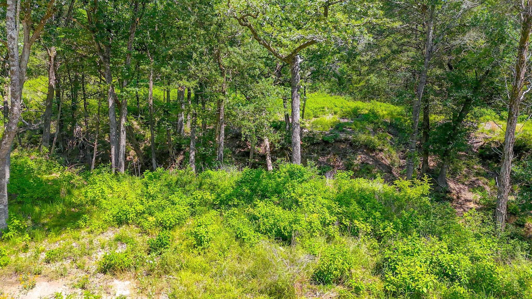 Lot 141 Shenandoah Drive Streetman TX 75859