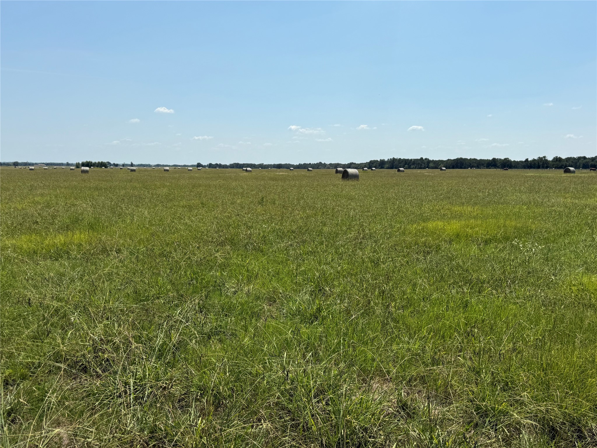 Lot 12 Creek Marlin TX 76661