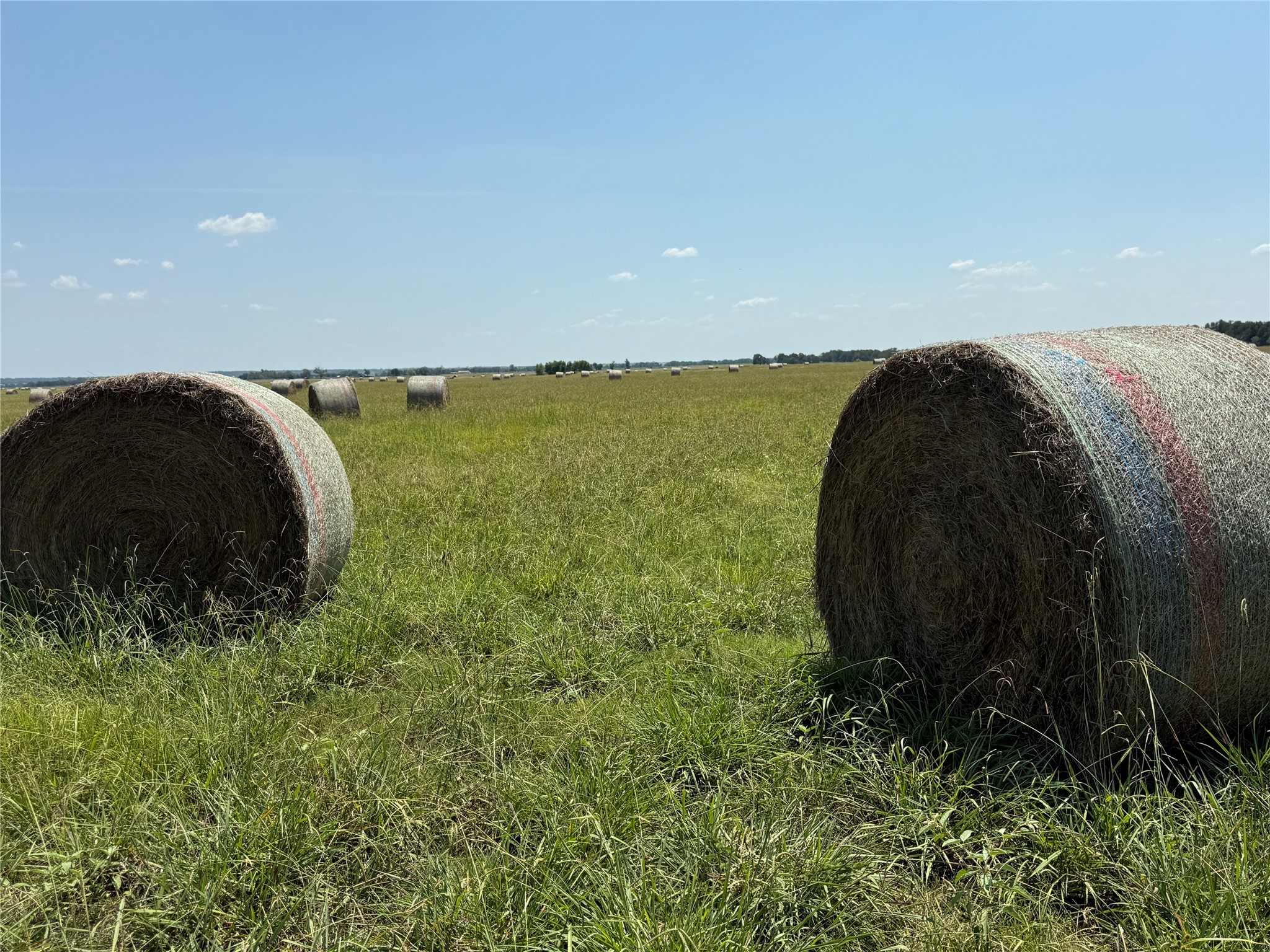 Lot 12 Creek Marlin TX 76661