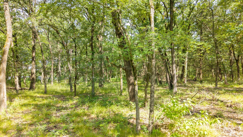 000 Pr 206 Bonham TX 75418