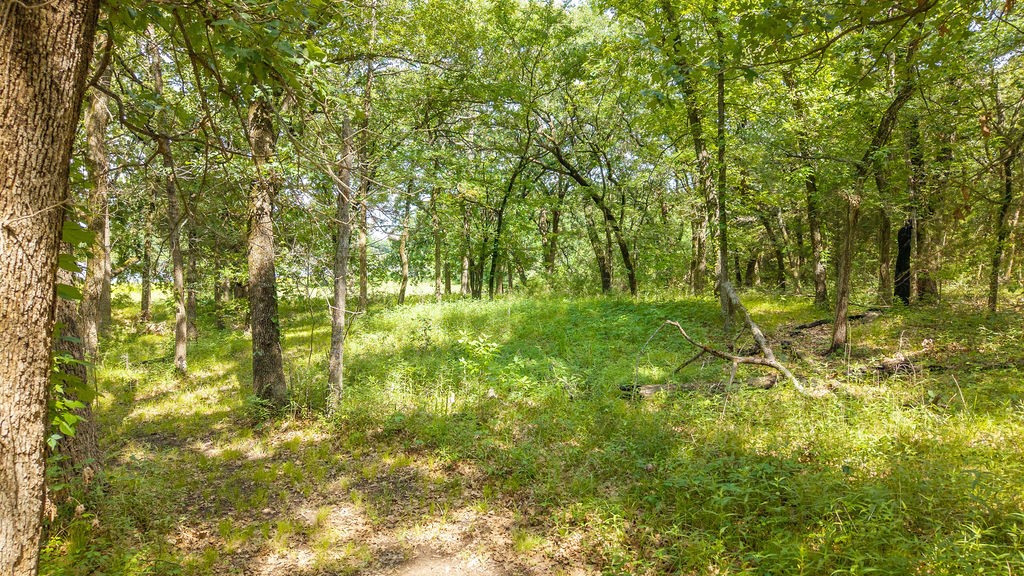 000 Pr 206 Bonham TX 75418