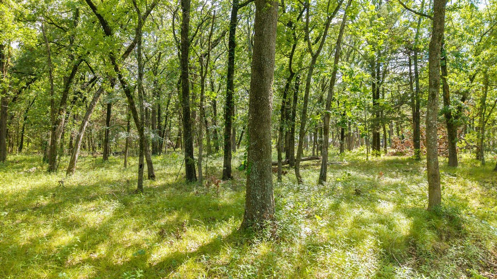 000 Pr 206 Bonham TX 75418