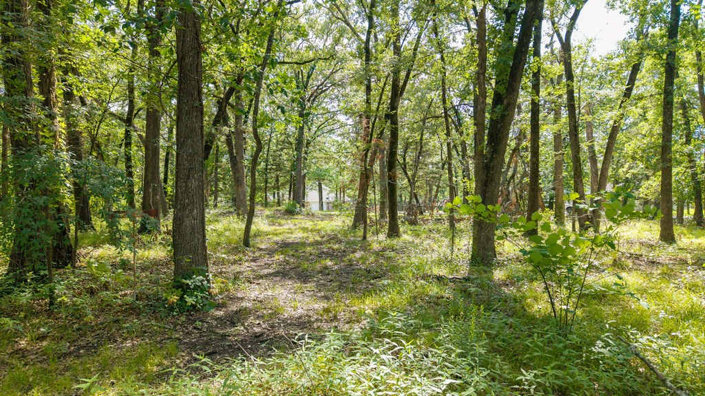 000 Pr 206 Bonham TX 75418