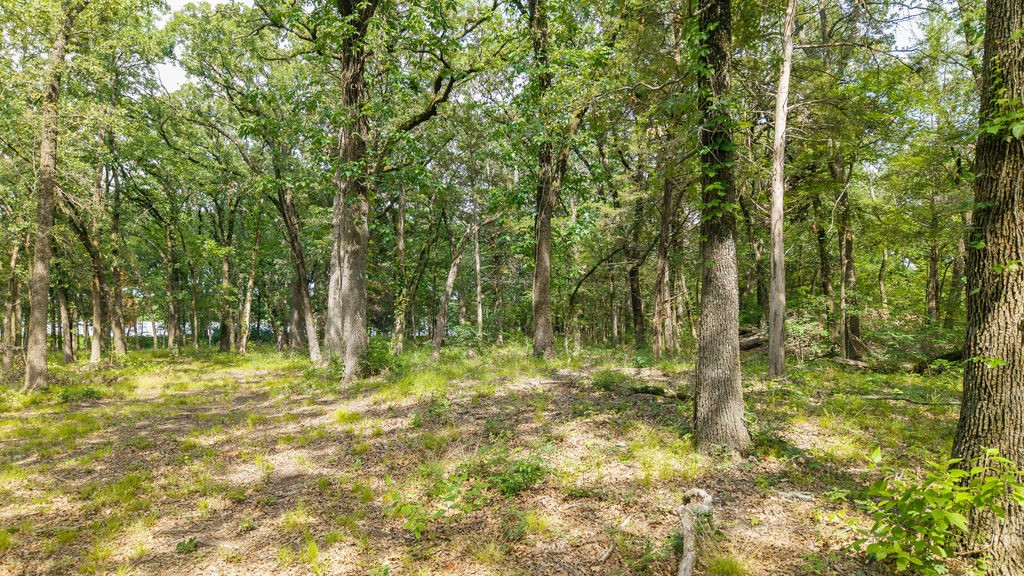 000 Pr 206 Bonham TX 75418