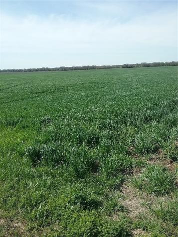 Tbd Dale Acres Road Milford TX 76670