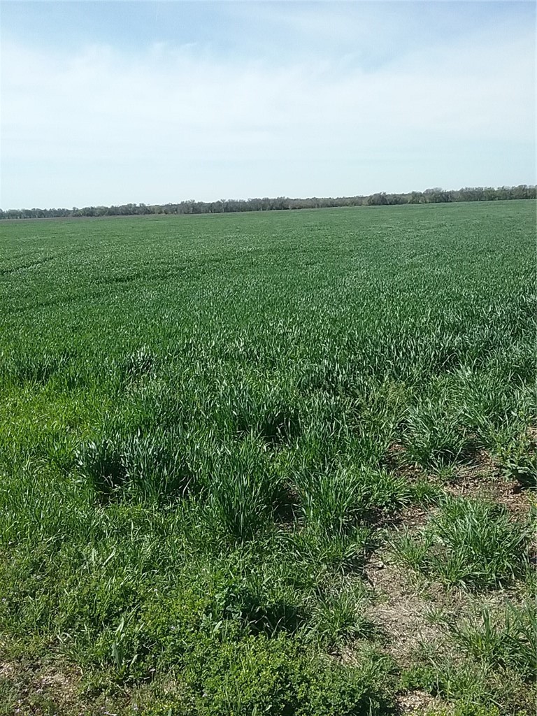 Tbd Dale Acres Road Milford TX 76670