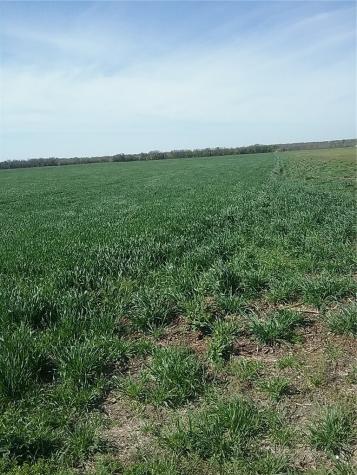 Tbd Dale Acres Road Milford TX 76670