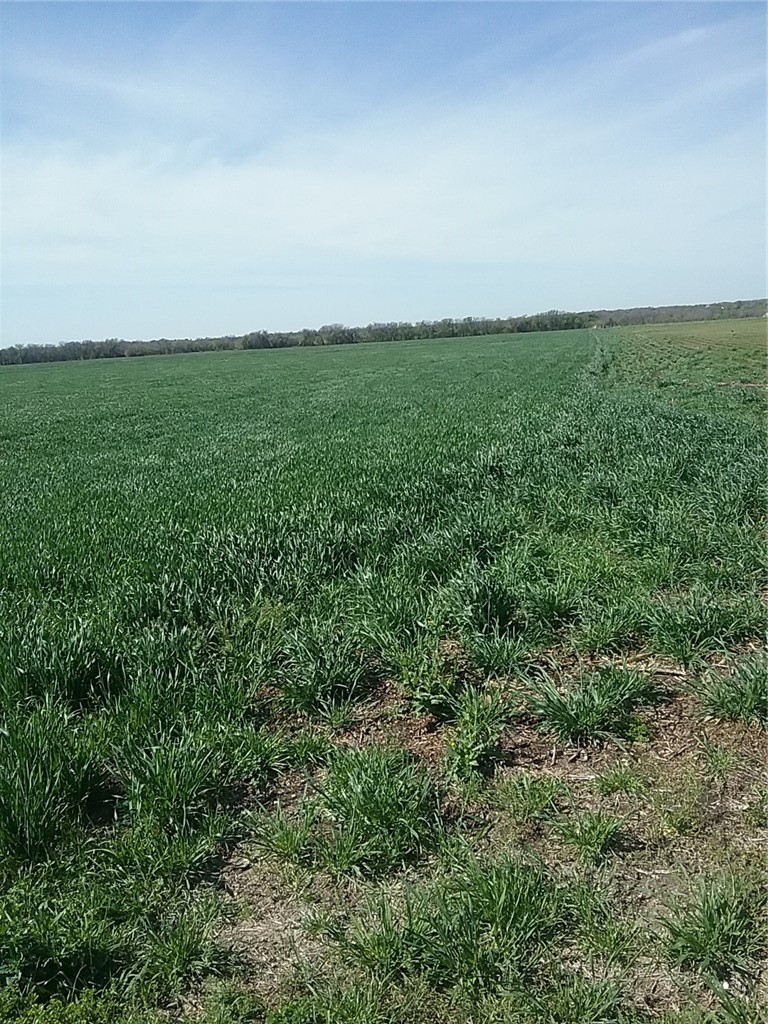 Tbd Dale Acres Road Milford TX 76670