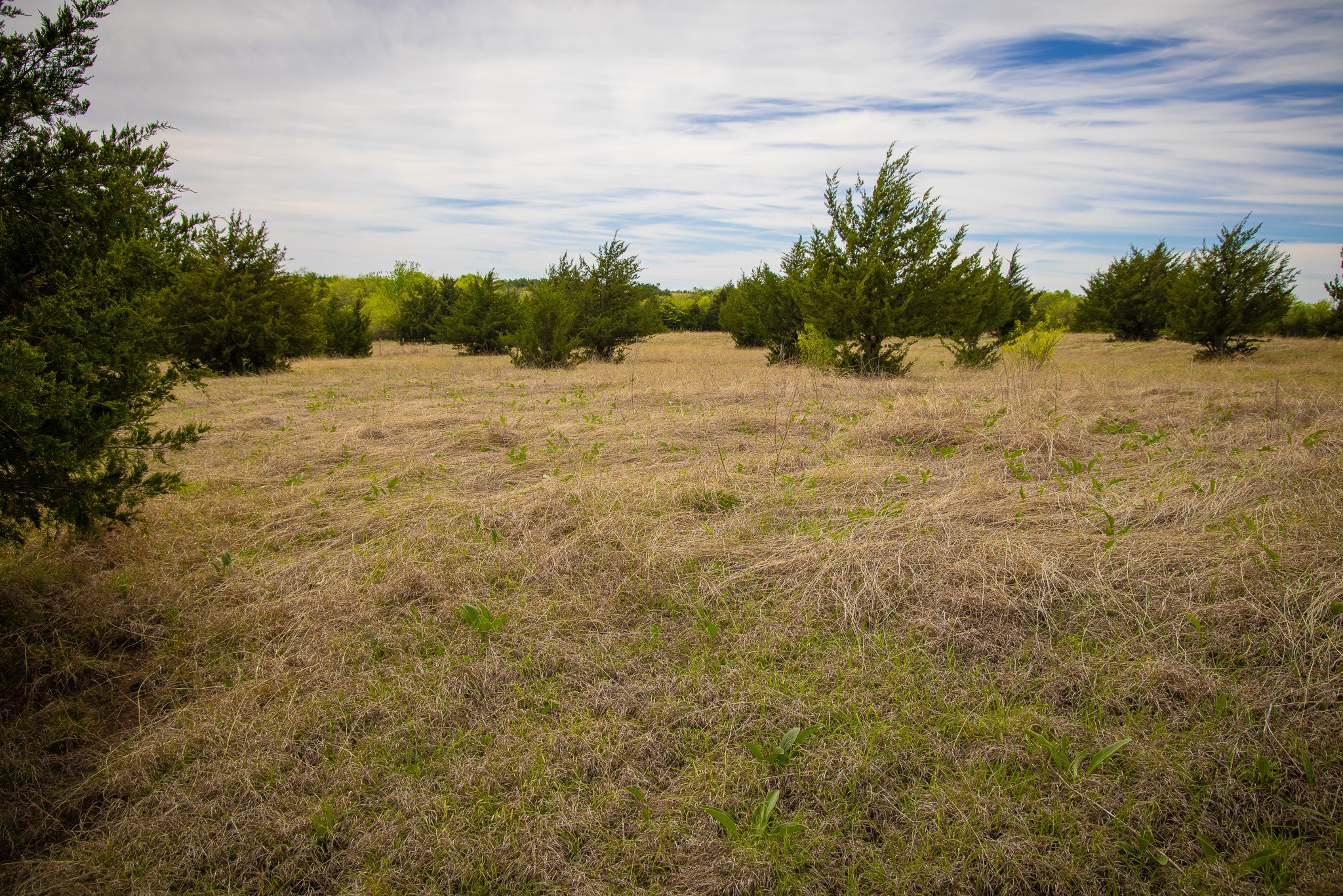 Lot 10 Pr 291 Dodd City TX 75438