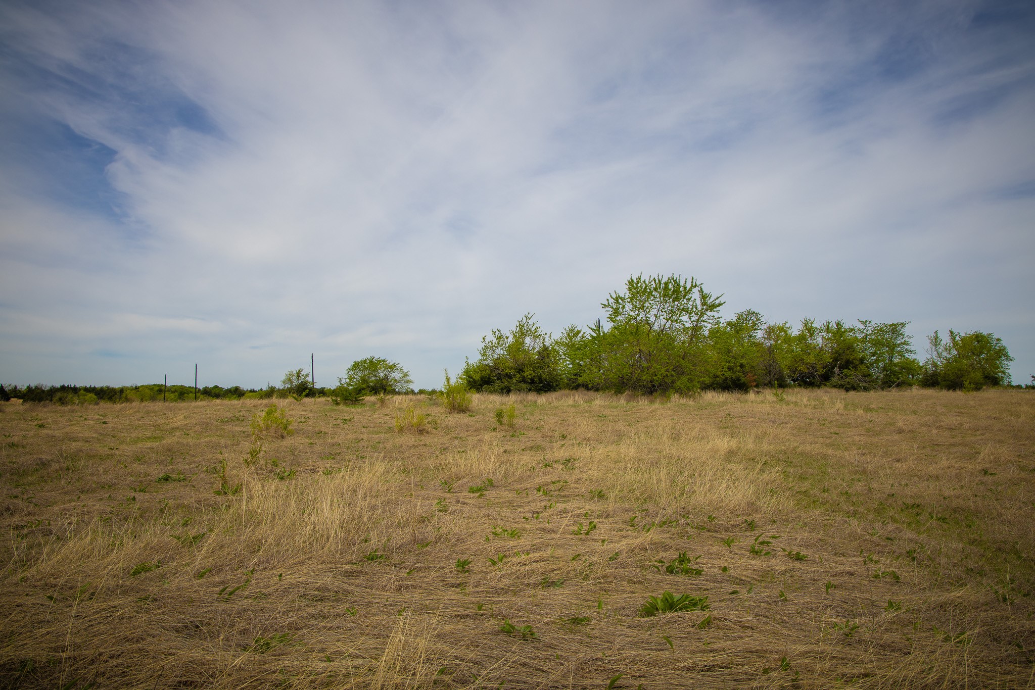 Lot 10 Pr 291 Dodd City TX 75438