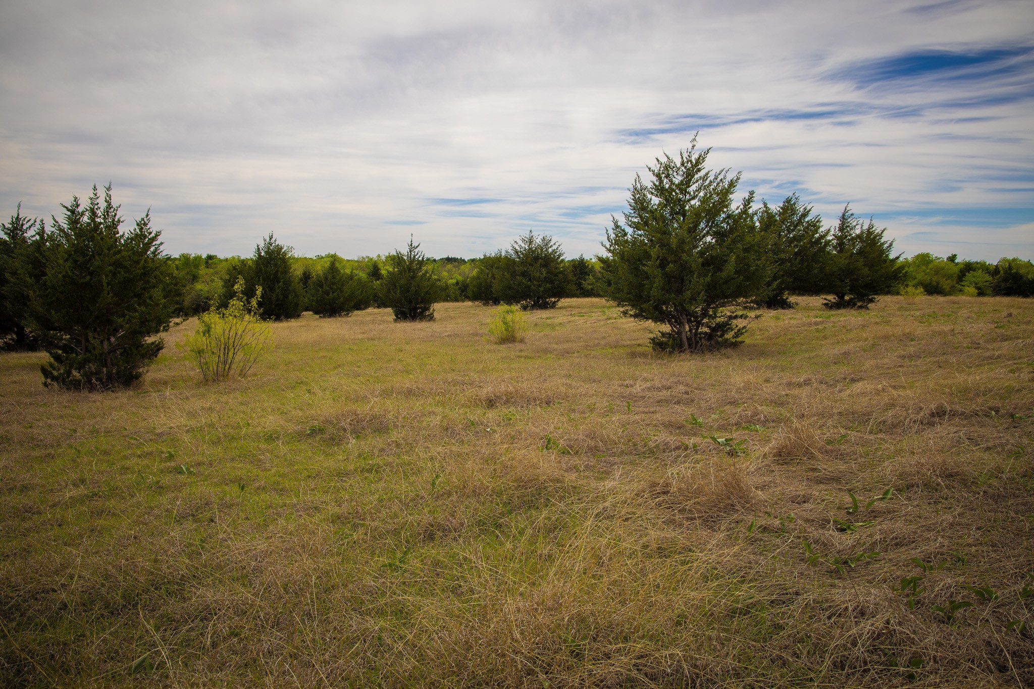 Lot 10 Pr 291 Dodd City TX 75438