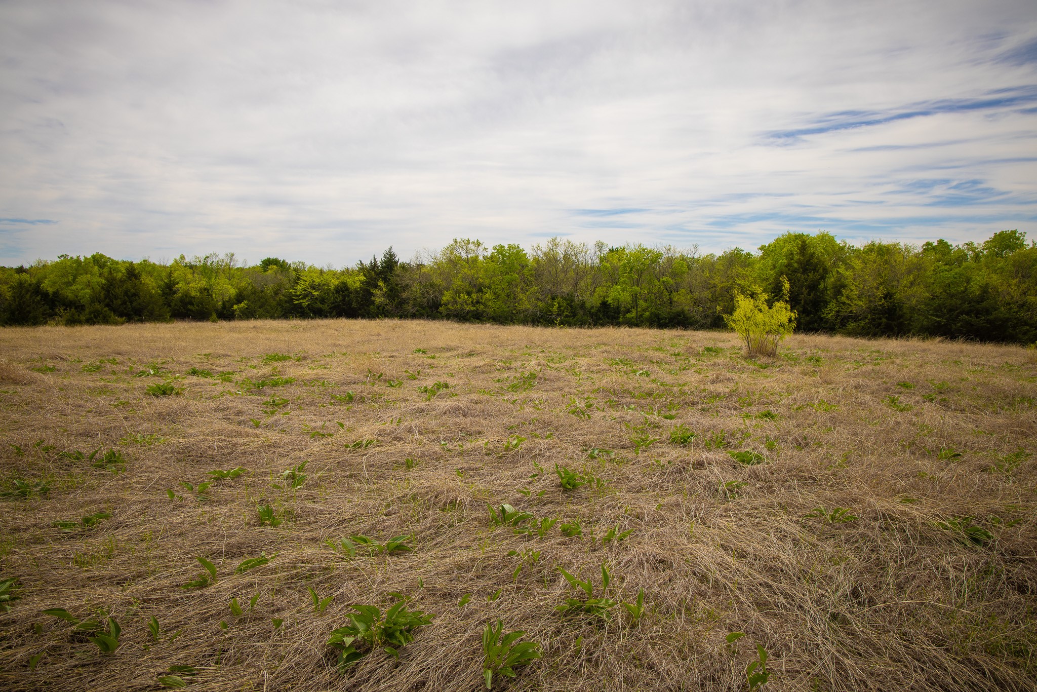 Lot 10 Pr 291 Dodd City TX 75438