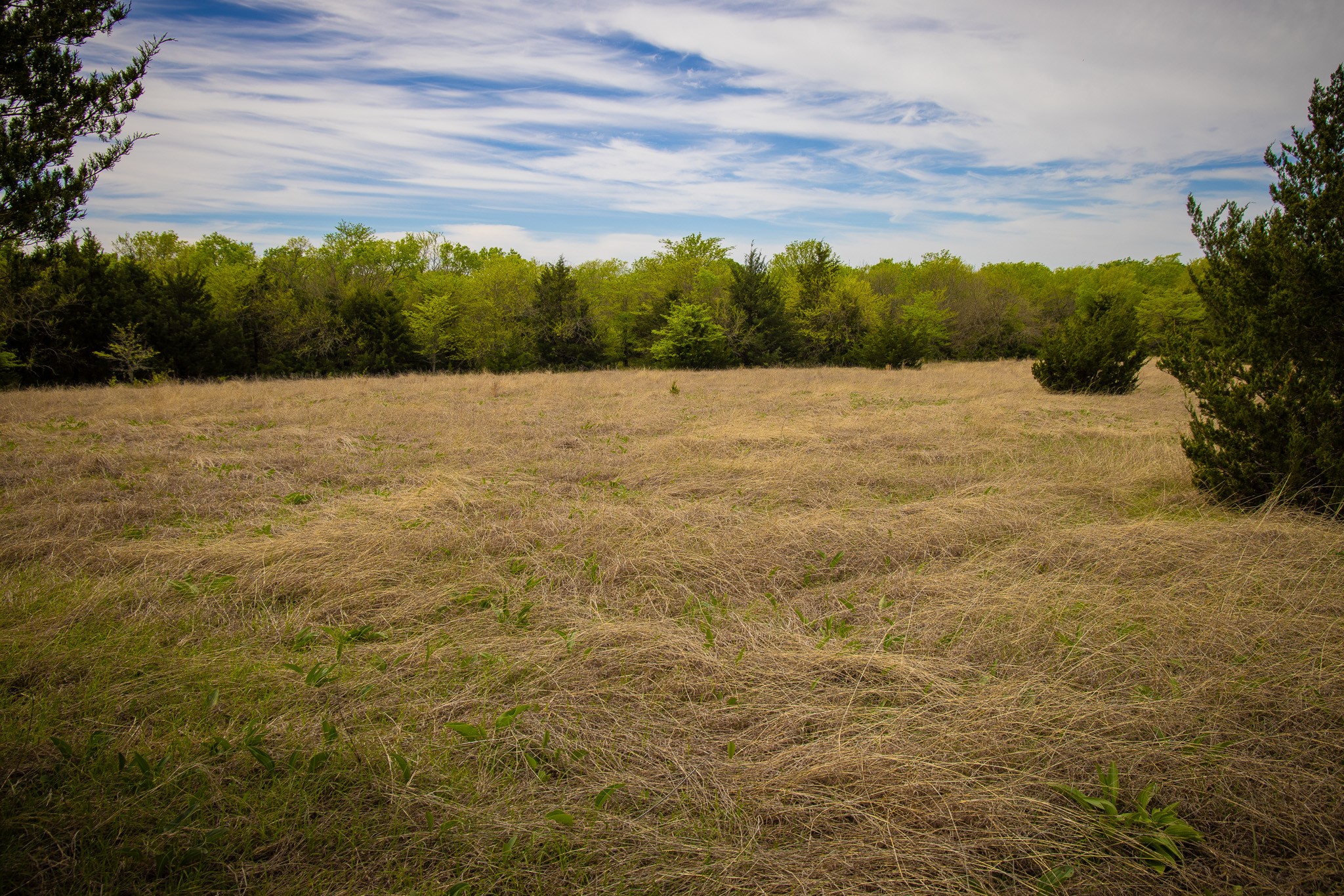 Lot 10 Pr 291 Dodd City TX 75438