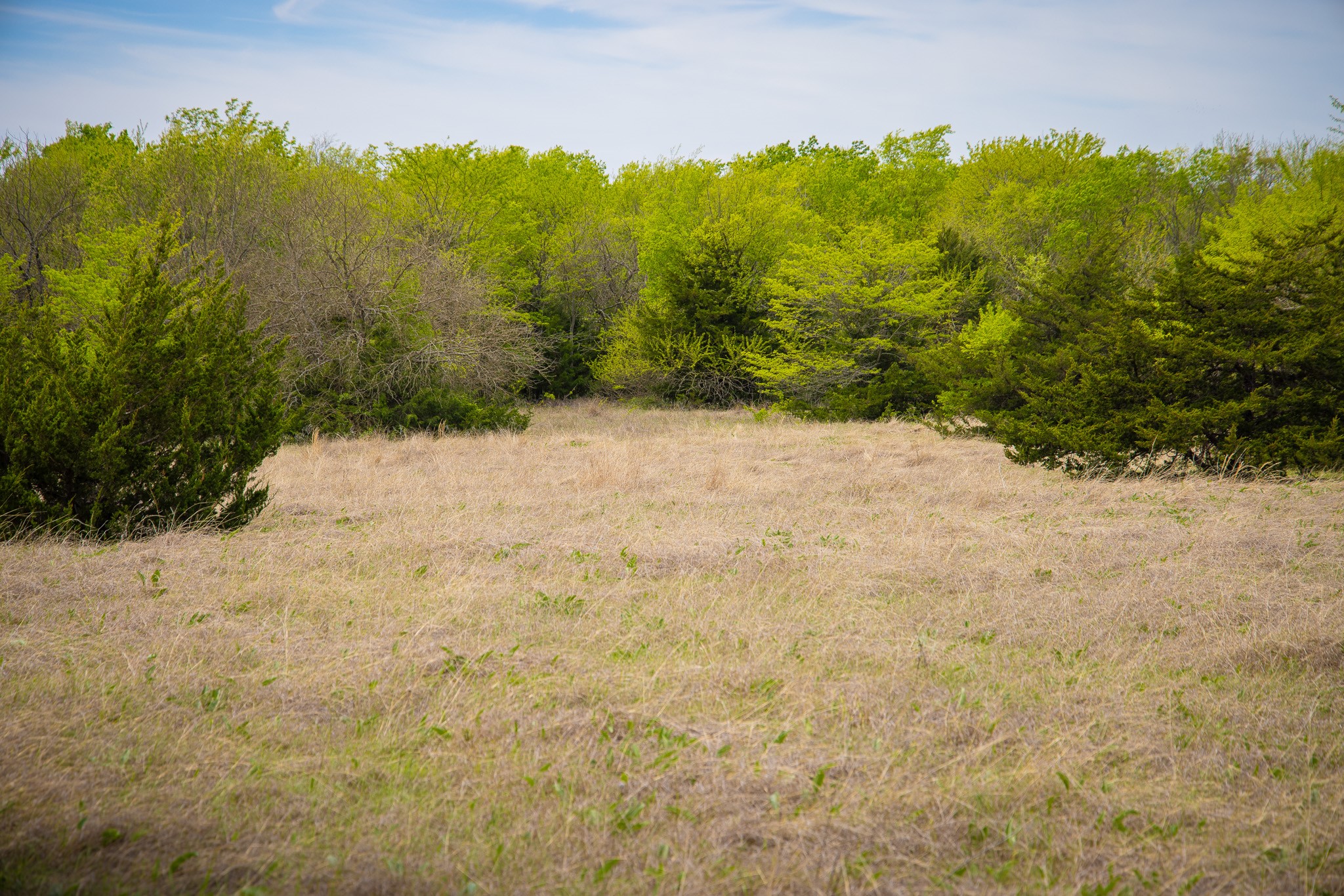 Lot 10 Pr 291 Dodd City TX 75438