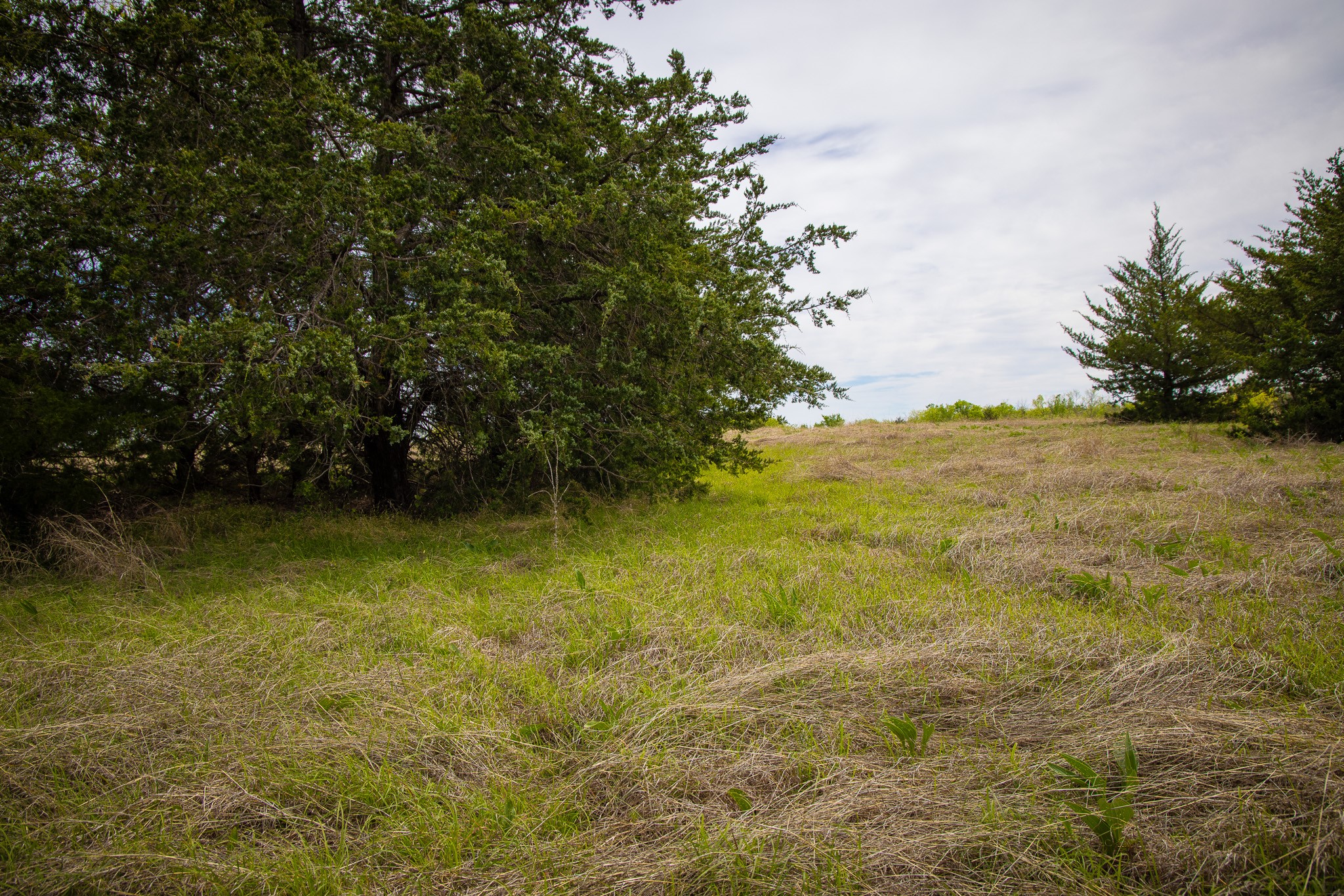 Lot 10 Pr 291 Dodd City TX 75438