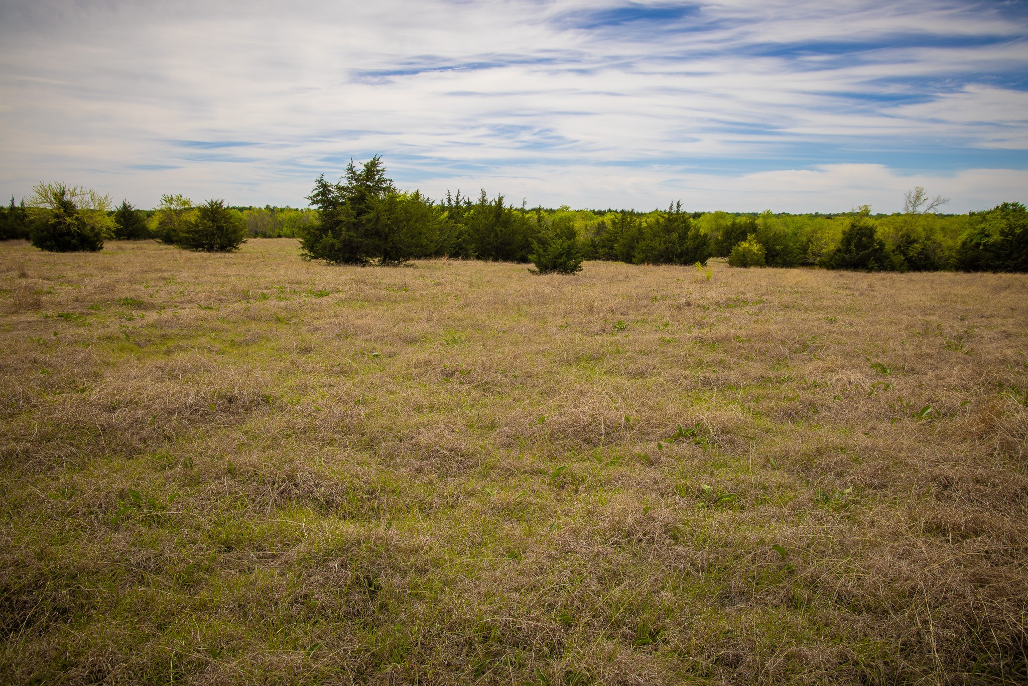 Lot 10 Pr 291 Dodd City TX 75438