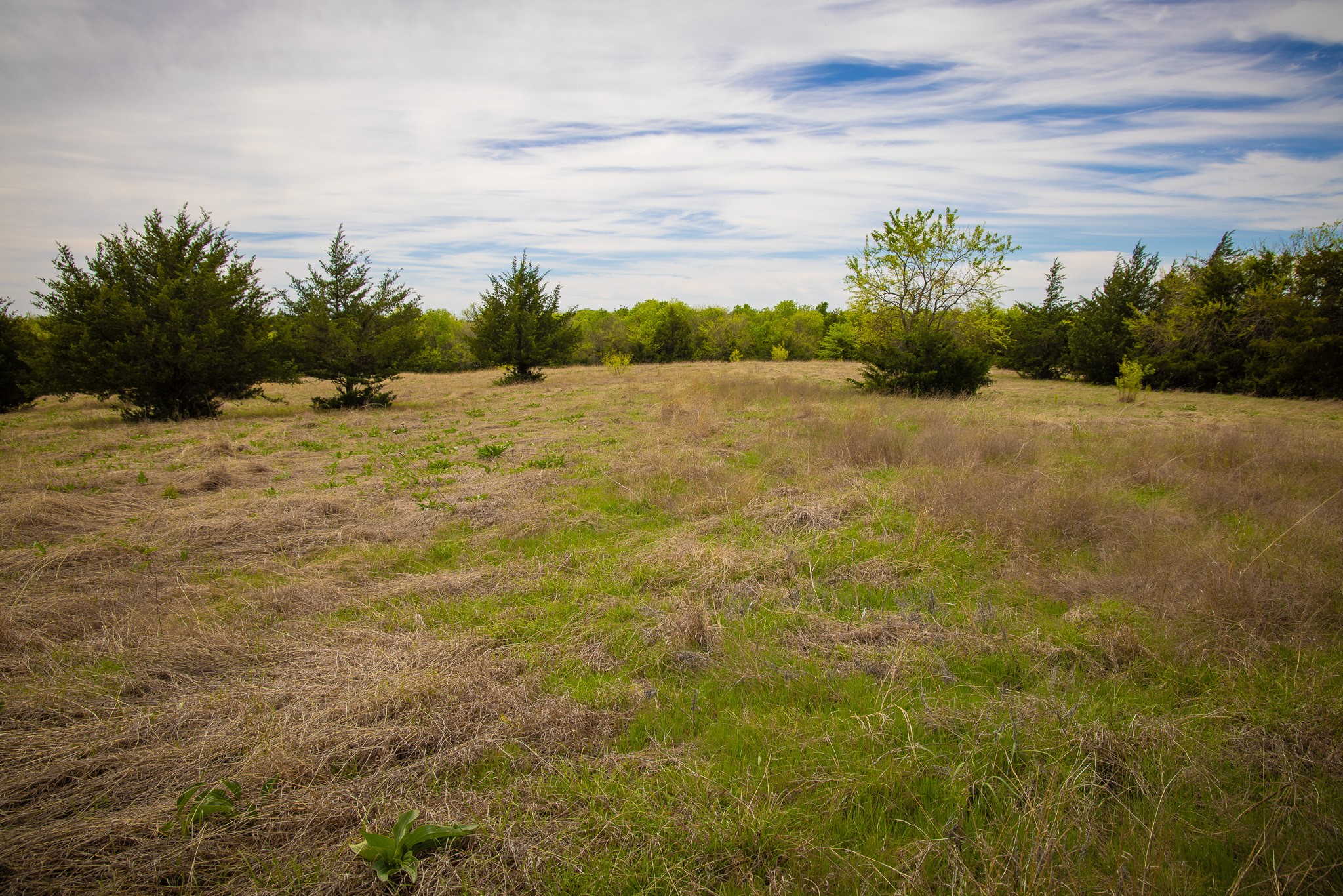 Lot 10 Pr 291 Dodd City TX 75438