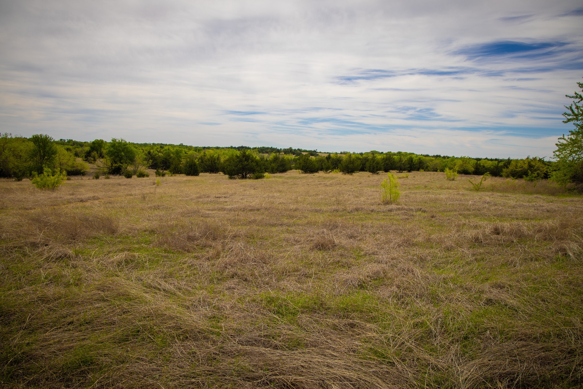 Lot 10 Pr 291 Dodd City TX 75438
