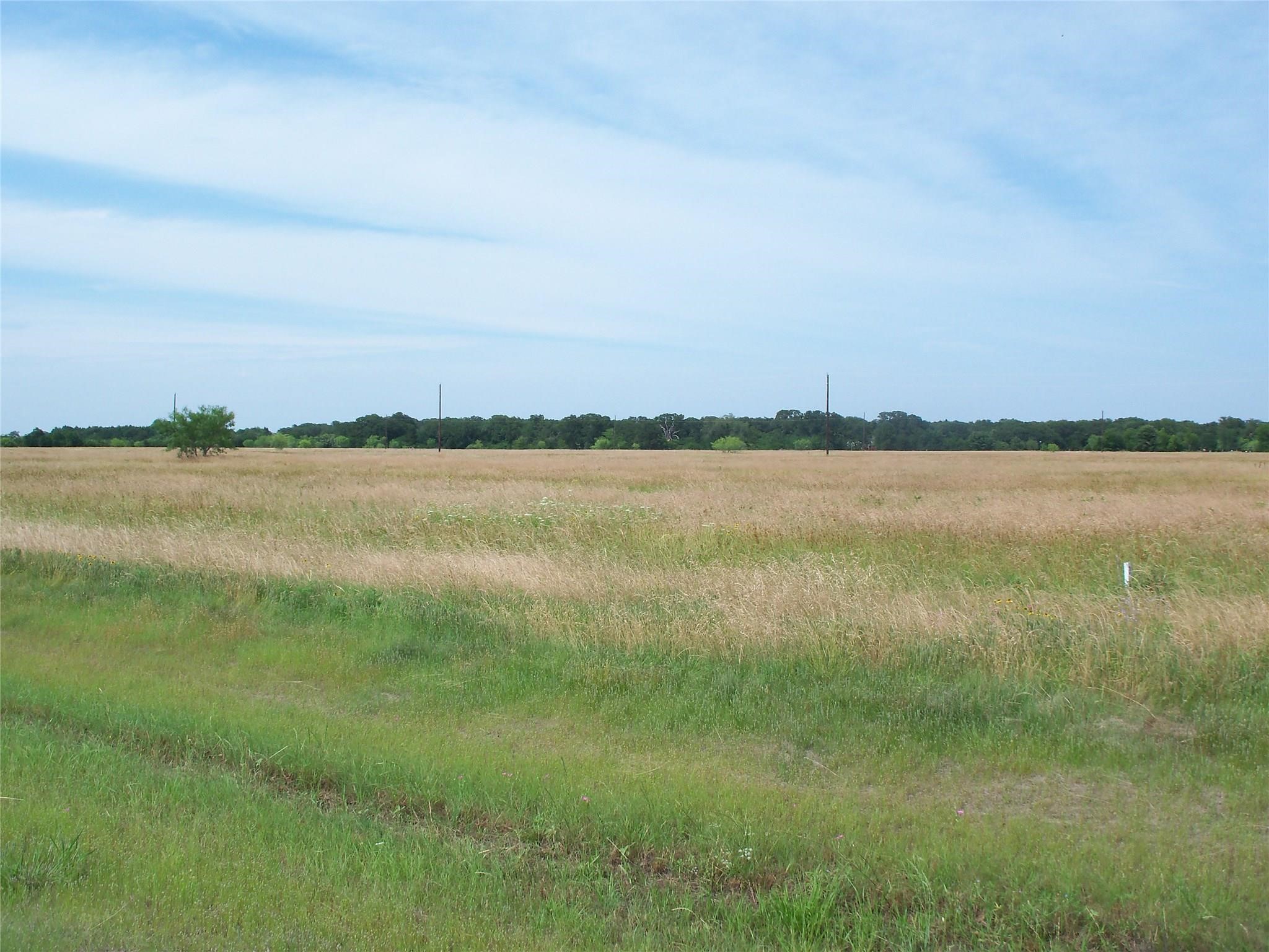 Lt 300 Cowboy Drive Mildred TX 75109
