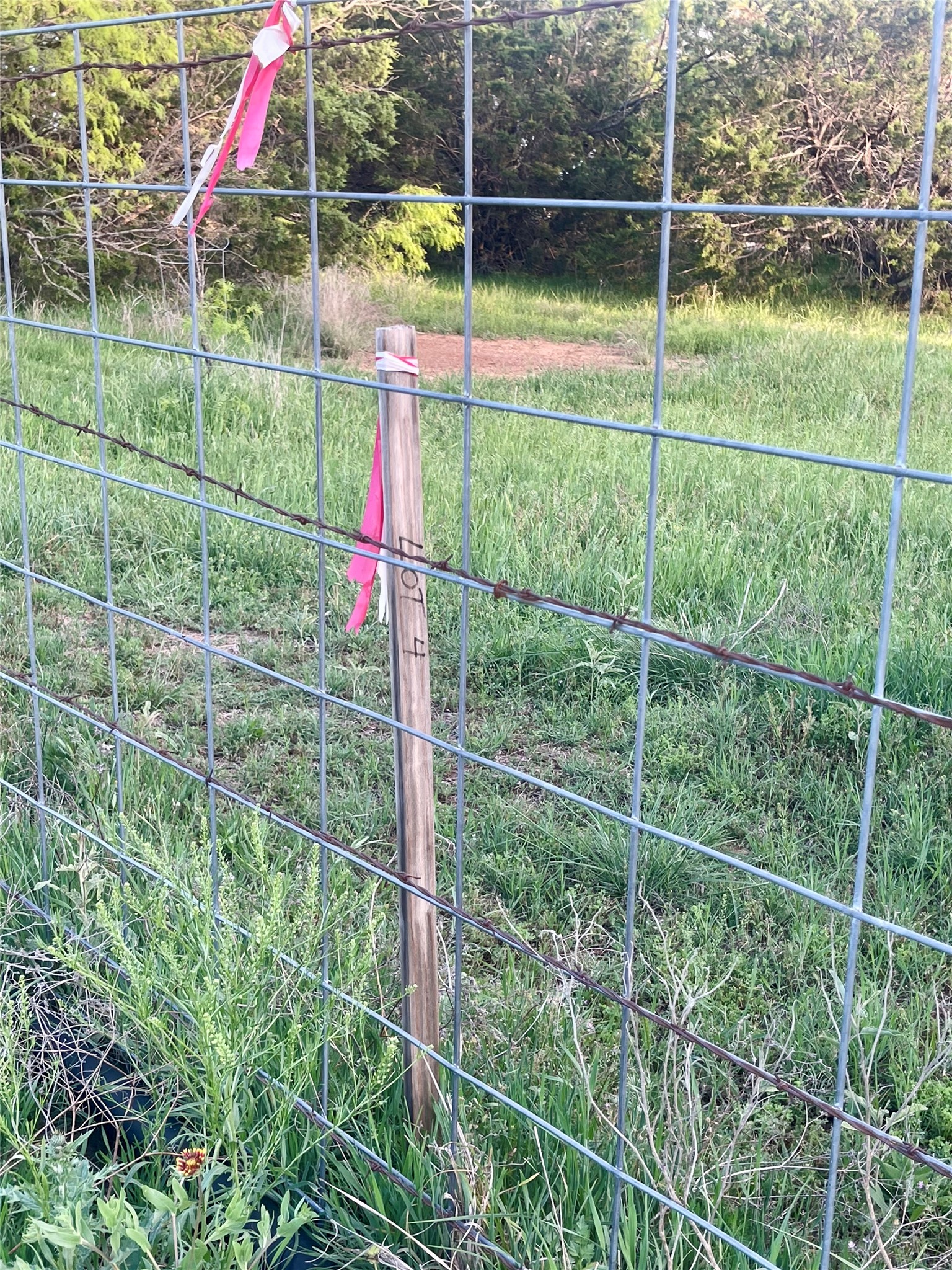 LOT4 Rock Creek Road Possum Kingdom Lake TX 76449