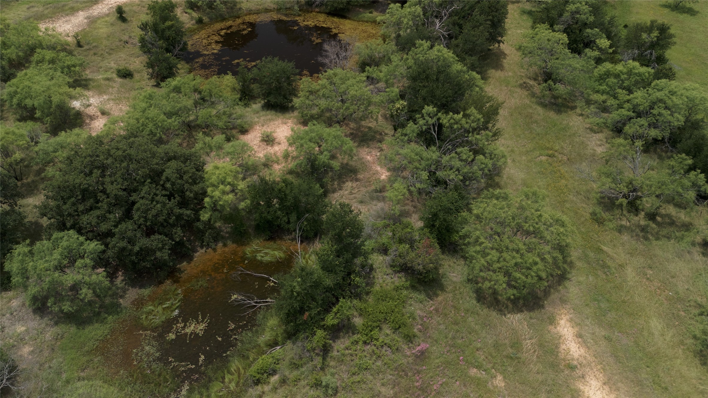 1976 County Road 488 Ranger TX 76470