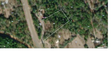 8900 Fm 229 Grapeland TX 75844