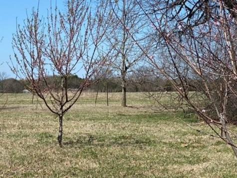 1375 County Road 1030 Corsicana TX 75110