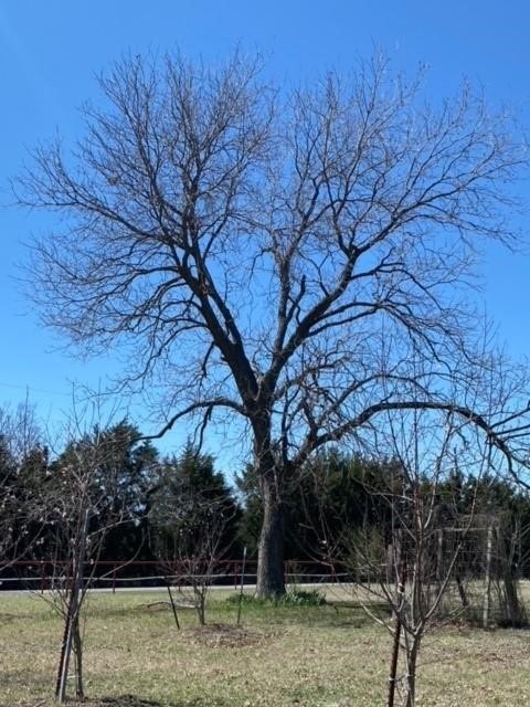 1375 County Road 1030 Corsicana TX 75110