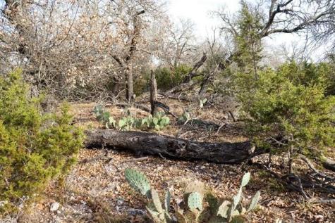 Tbd Whitetail Trail San Saba TX 76877