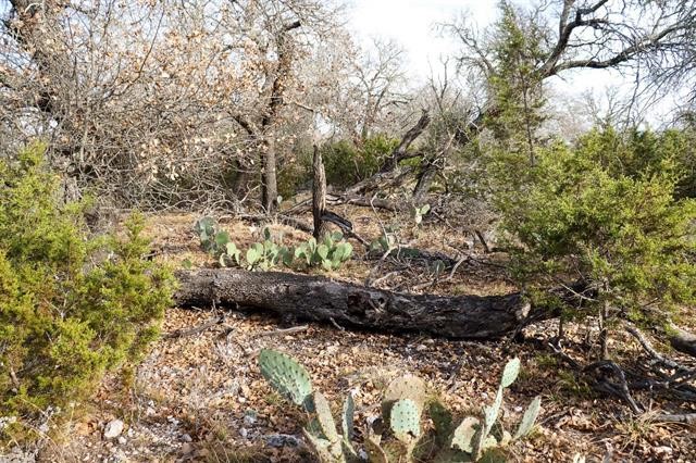 Tbd Whitetail Trail San Saba TX 76877