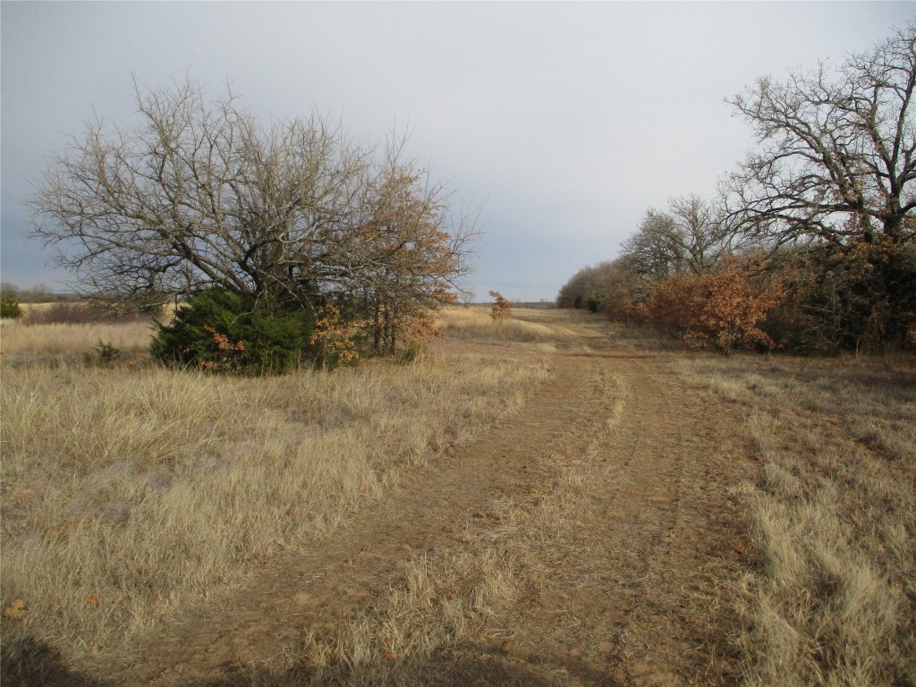 Trail 4 Catholic Cemetery Montague TX 76251