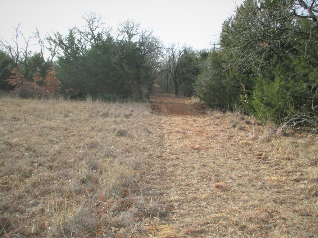 Trail 4 Catholic Cemetery Montague TX 76251