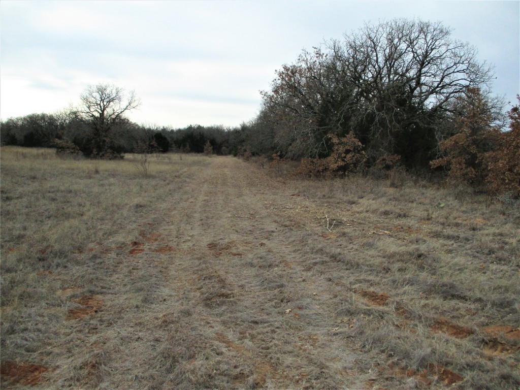 Trail 4 Catholic Cemetery Montague TX 76251