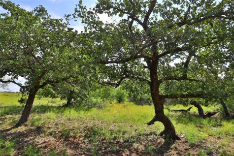 B27 Post Oak Road Gordon TX 76453