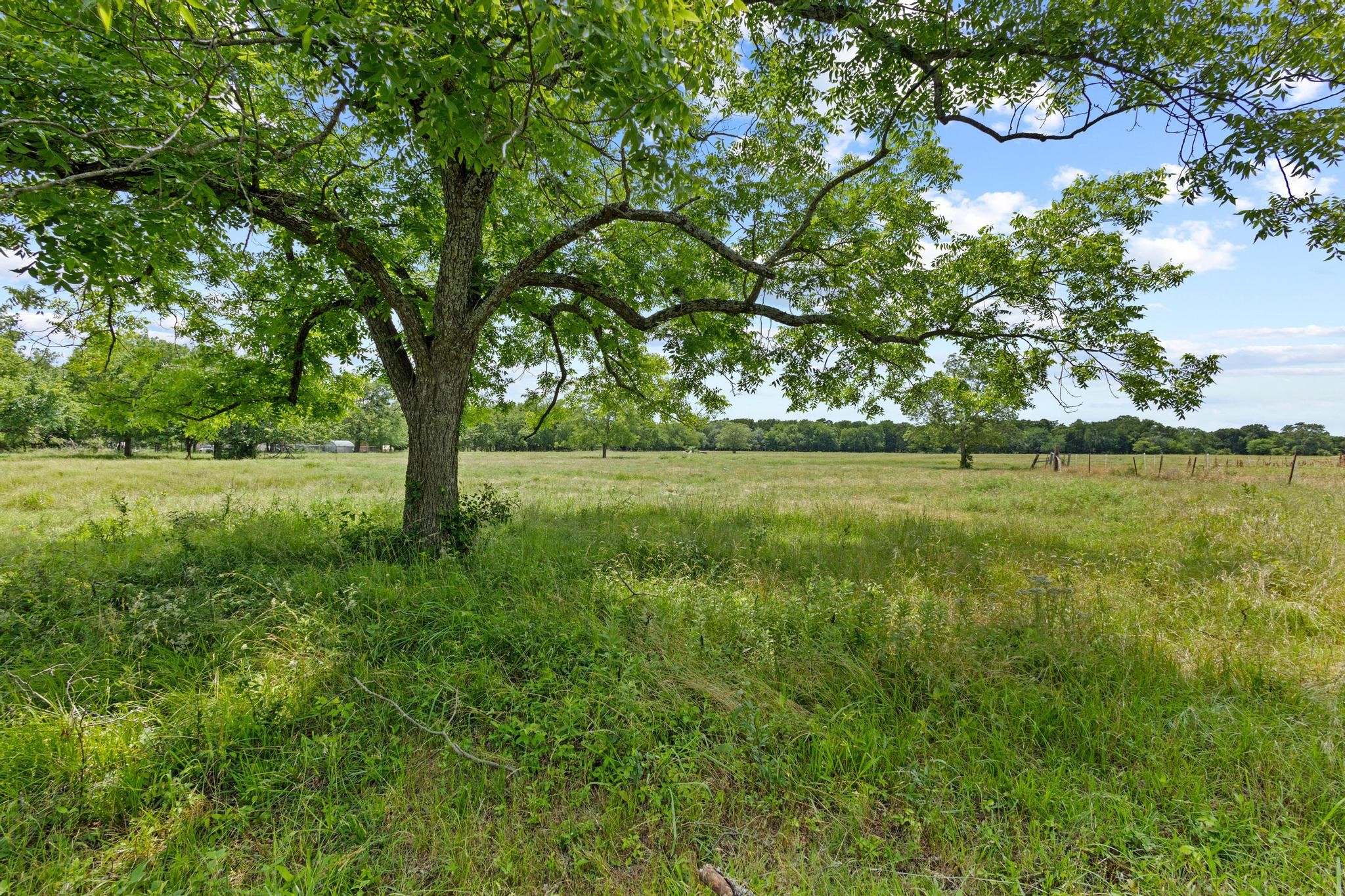 0000 County Road 4604 Commerce TX 75428