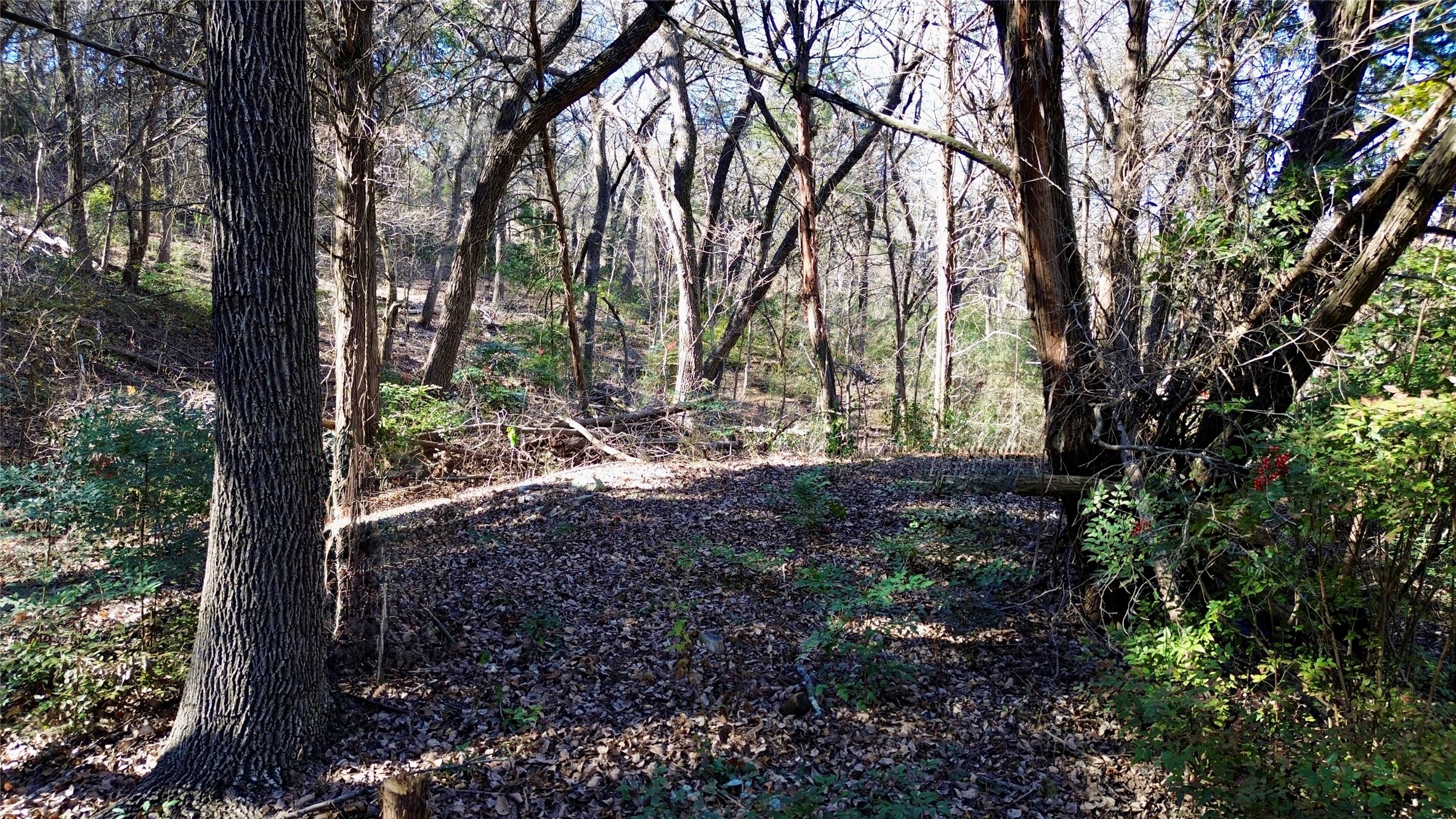 1917 Juniper Ridge Road Cedar Hill TX 75104