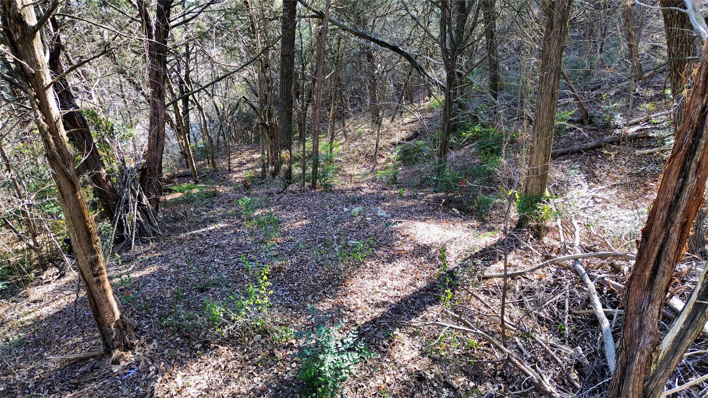 1917 Juniper Ridge Road Cedar Hill TX 75104