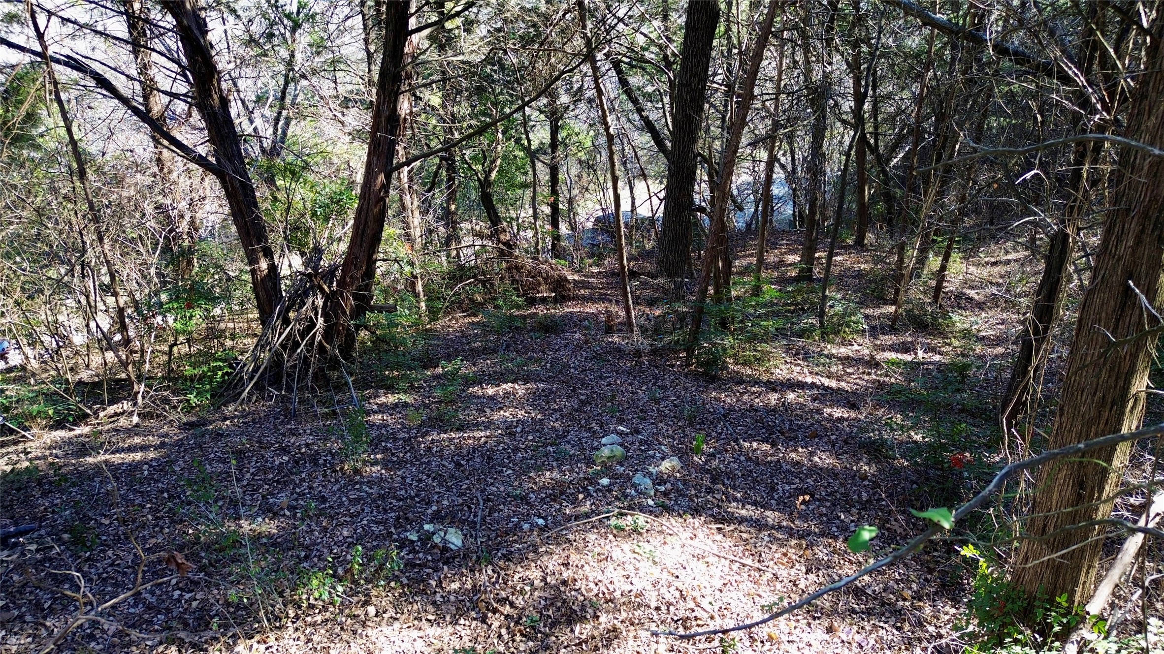 1917 Juniper Ridge Road Cedar Hill TX 75104
