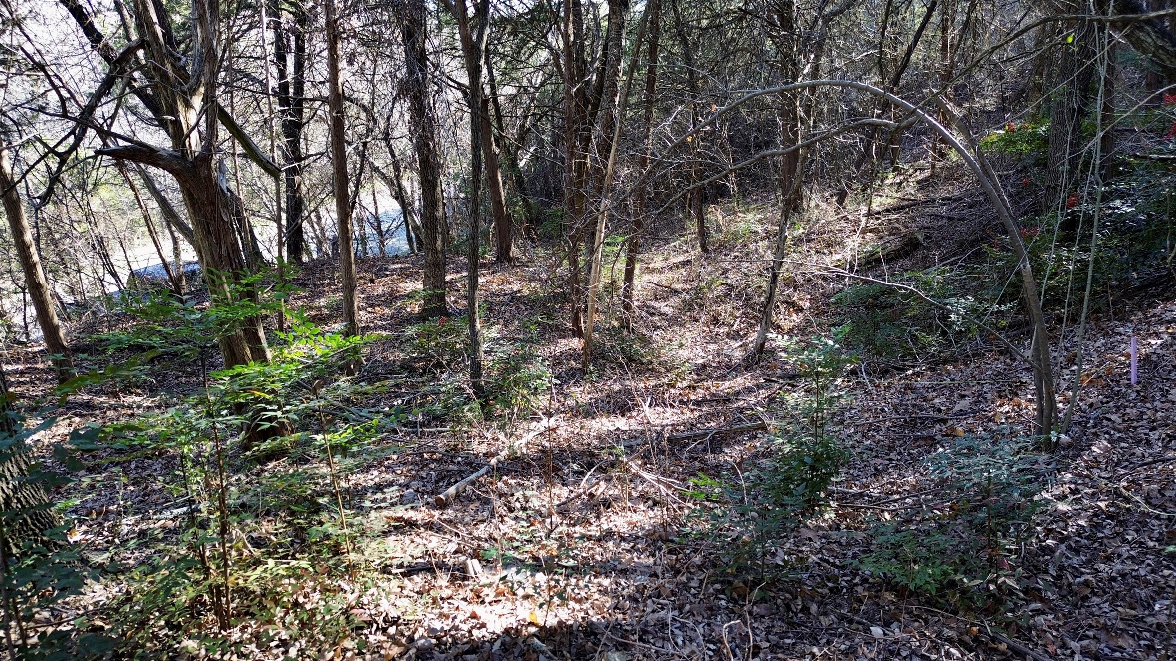 1917 Juniper Ridge Road Cedar Hill TX 75104