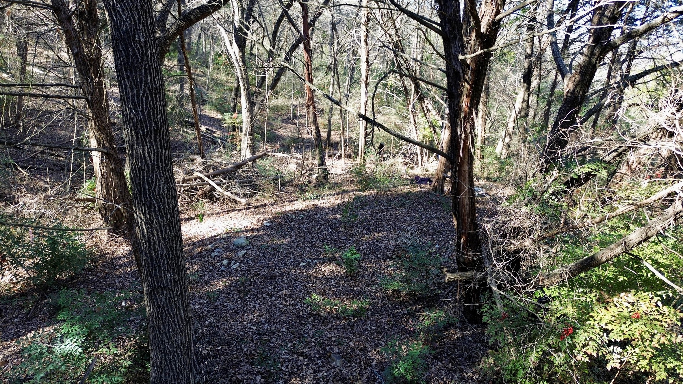 1917 Juniper Ridge Road Cedar Hill TX 75104