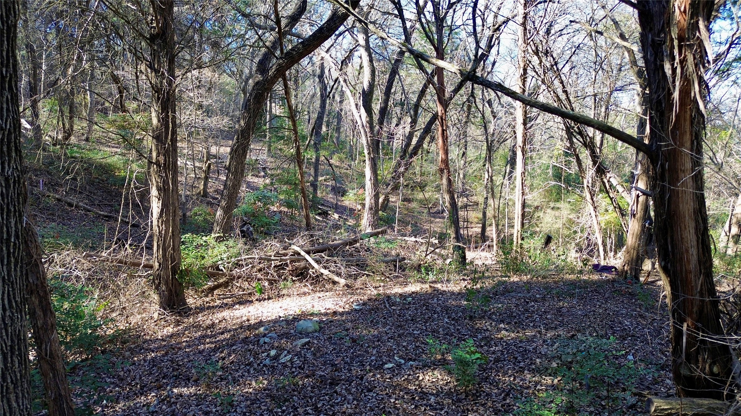 1917 Juniper Ridge Road Cedar Hill TX 75104