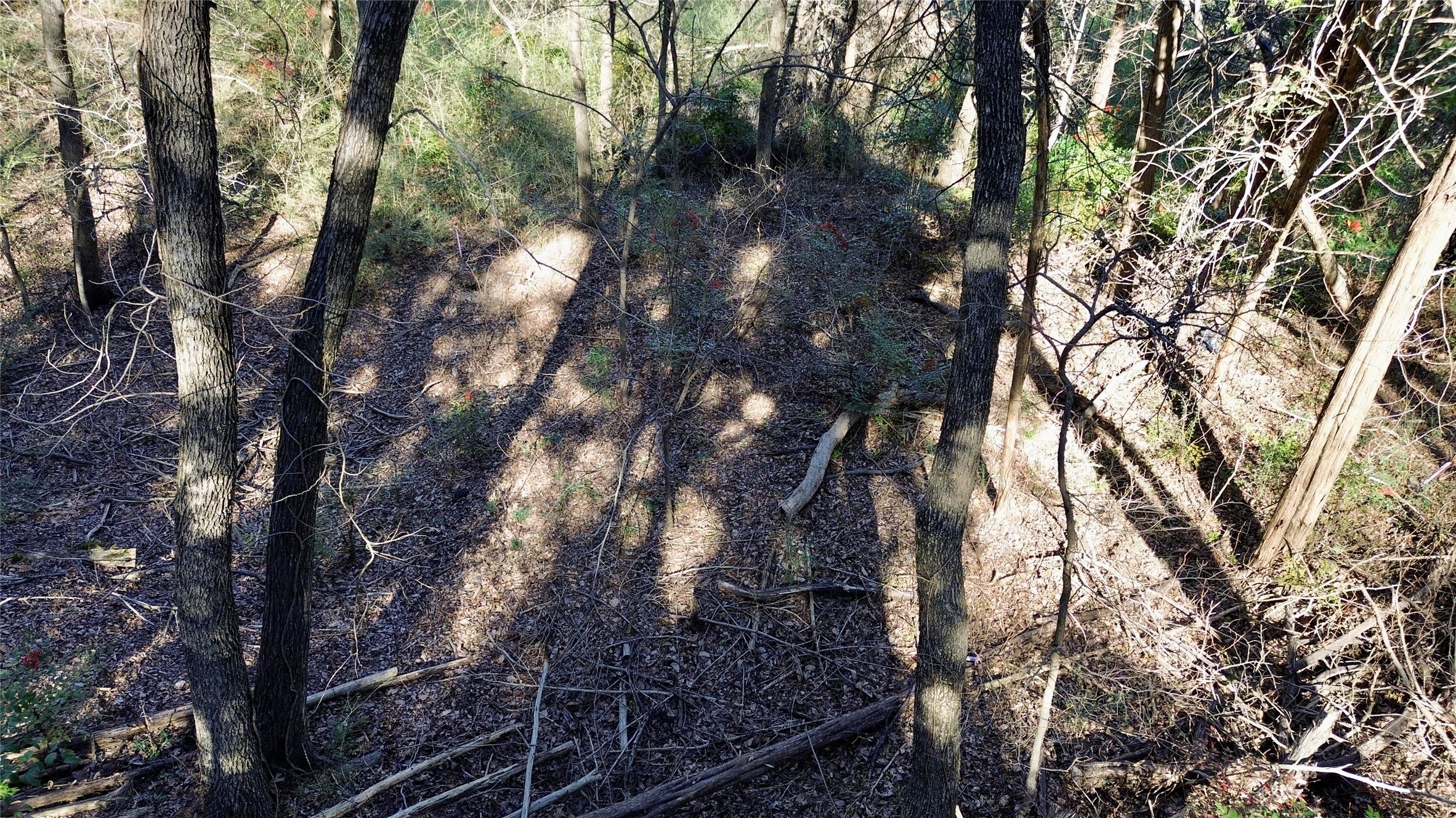 1917 Juniper Ridge Road Cedar Hill TX 75104