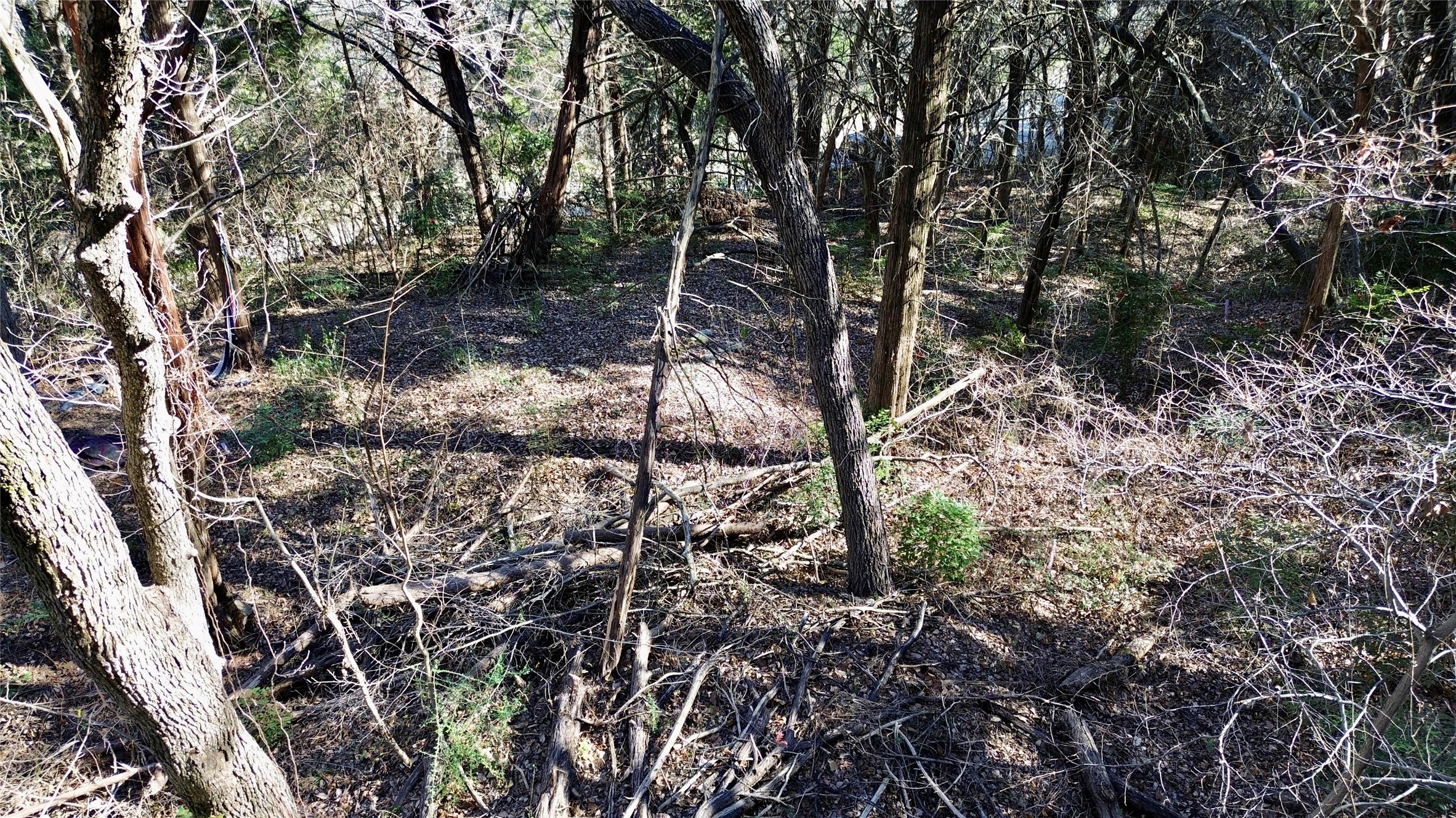 1917 Juniper Ridge Road Cedar Hill TX 75104