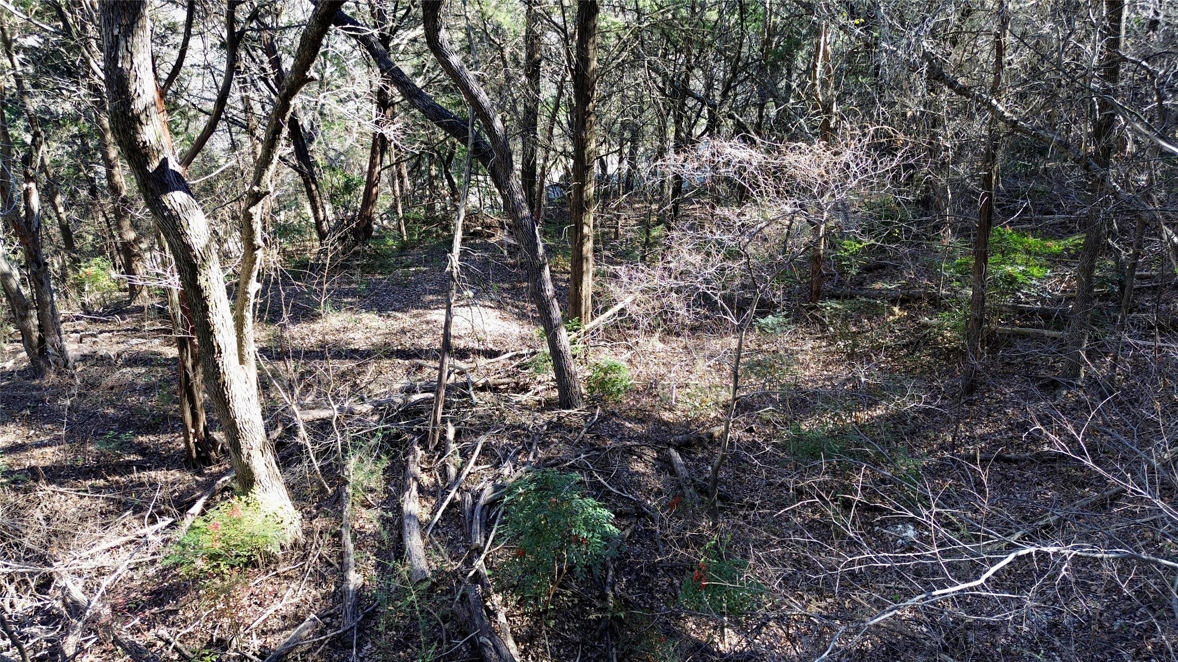 1917 Juniper Ridge Road Cedar Hill TX 75104