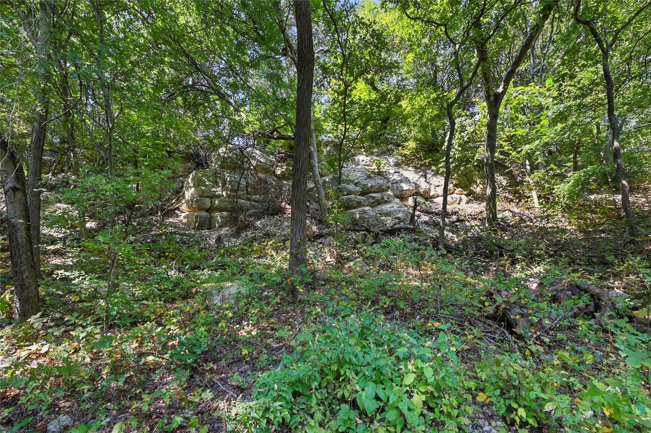 1917 Juniper Ridge Road Cedar Hill TX 75104