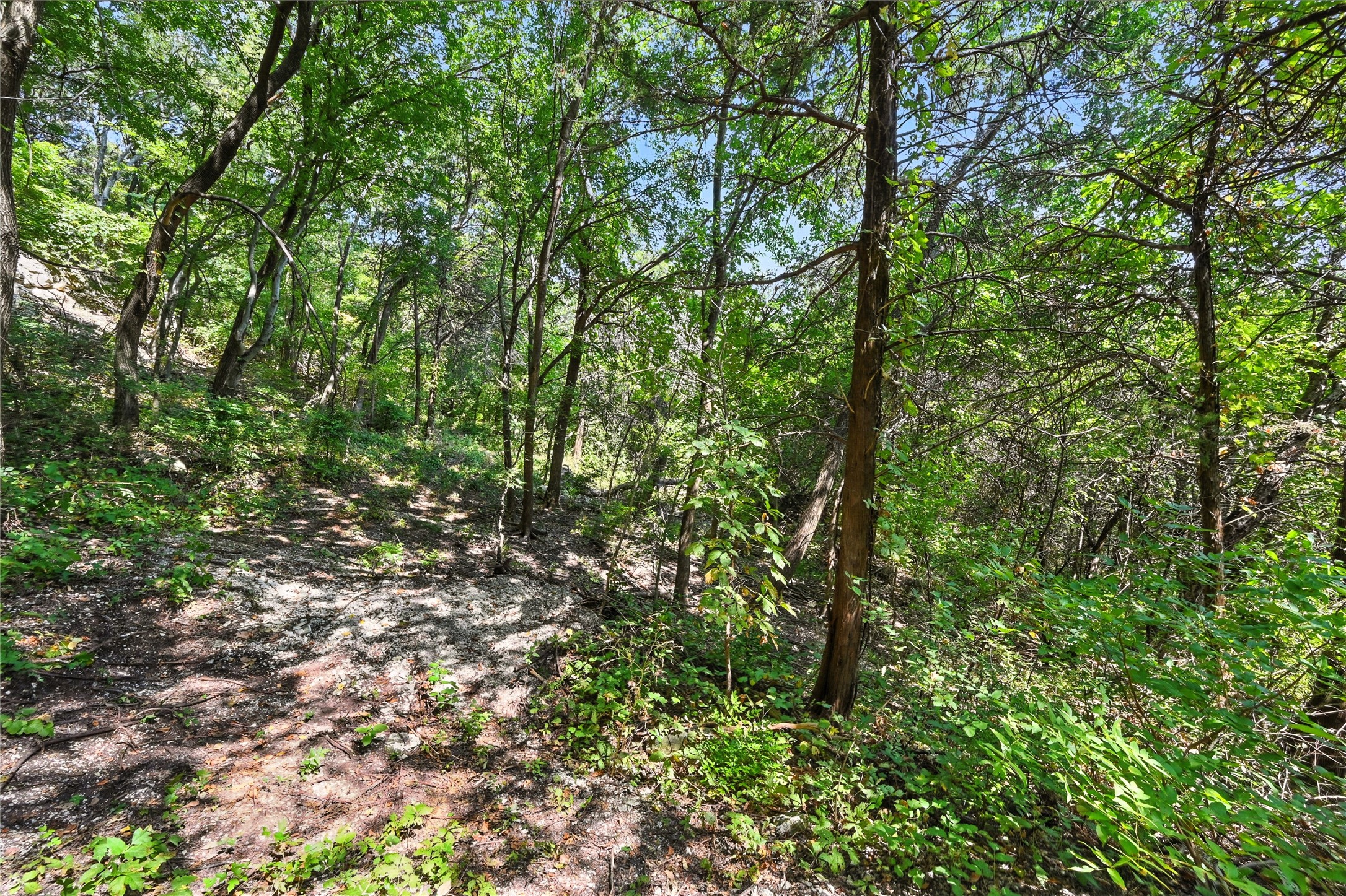 1917 Juniper Ridge Road Cedar Hill TX 75104
