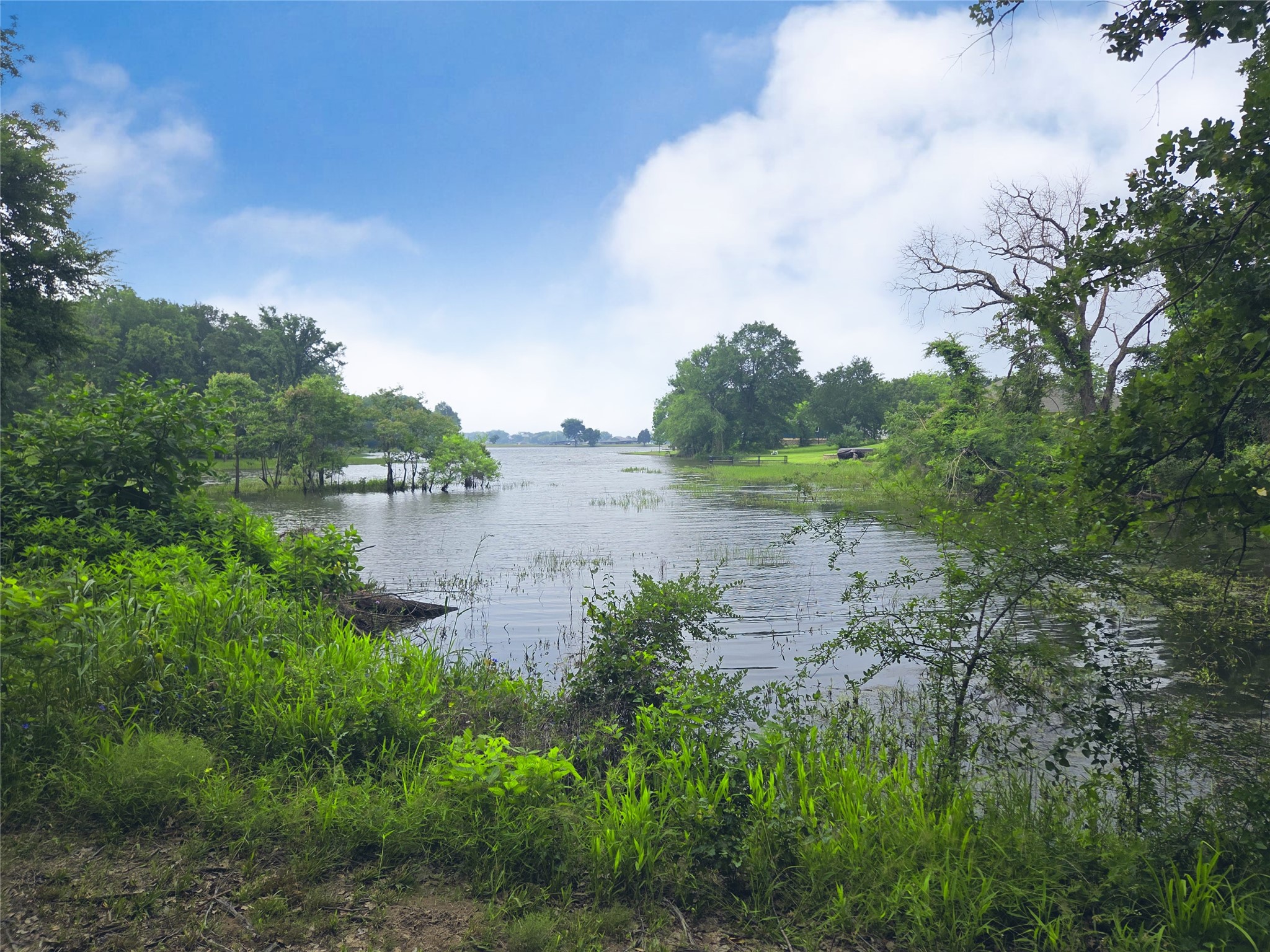 Lot 333 Spur 294 Corsicana TX 75109