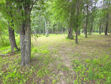 Lot 333 Spur 294 Corsicana TX 75109
