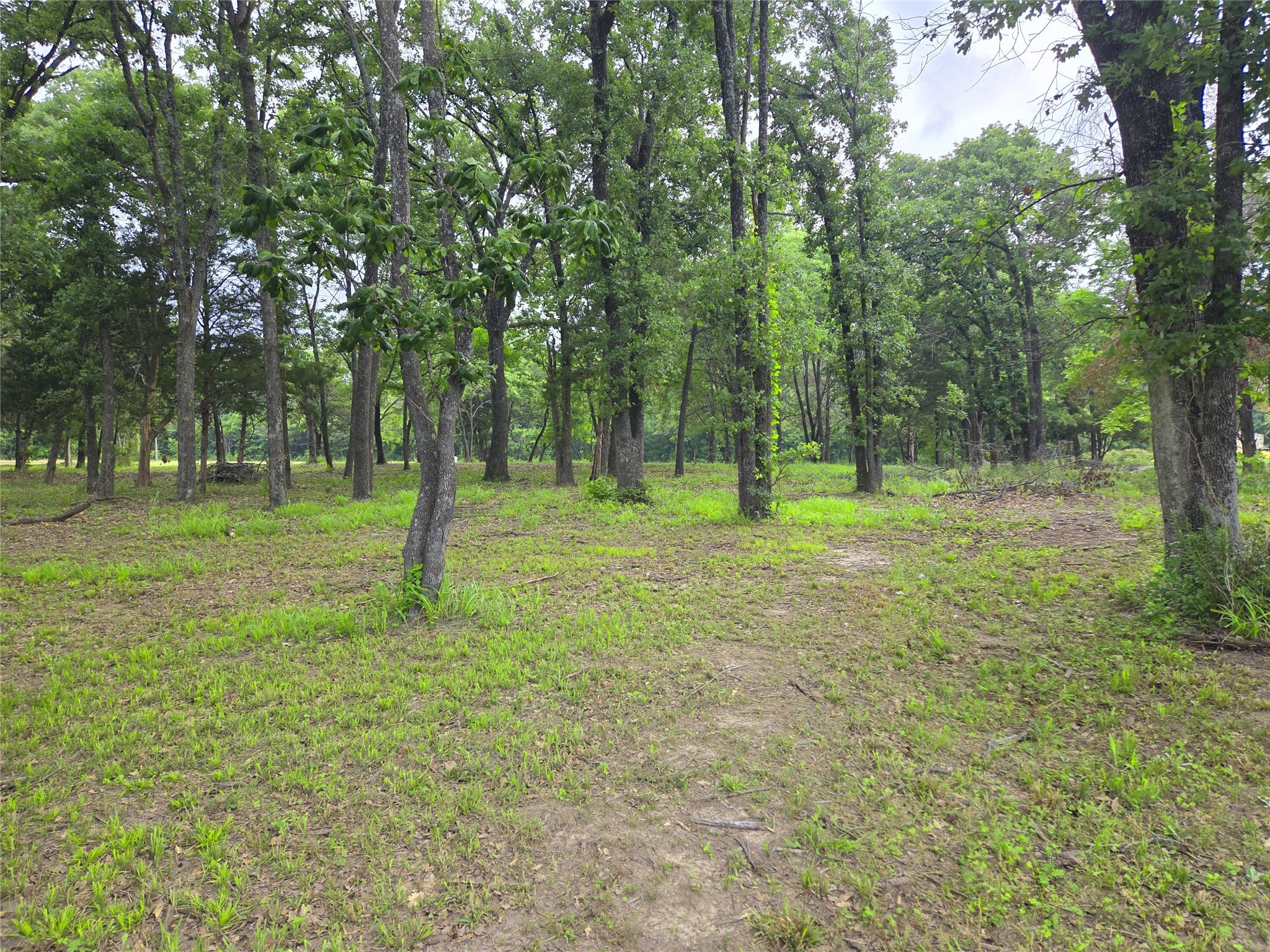 Lot 333 Spur 294 Corsicana TX 75109